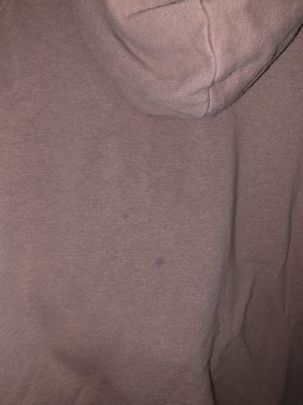 The North Face Dusty Rose Pullover Hoodie - Picture 4 of 4